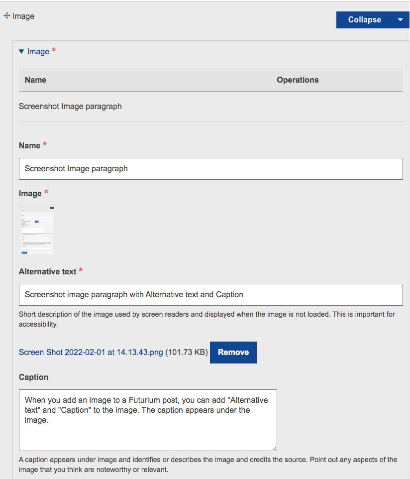 Screenshot image paragraph with Alternative text and Caption fields